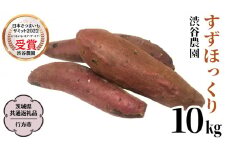 すずほっくり 約10kg 【茨城県共通返礼品／行方市】 渋谷農園 さつまいも  いも 芋 焼芋 [DT006sa]