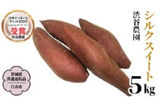 シルクスイート 約5kg (茨城県共通返礼品／行方市) 2025年11月から発送開始 渋谷農園 さつまいも いも 芋 焼き芋 [DT009sa]
