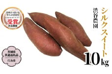 シルクスイート約10kg (茨城県共通返礼品／行方市) 2025年11月から発送開始 渋谷農園 さつまいも いも 芋 焼き芋 [DT010sa]