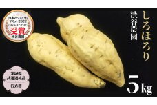 しろほろり 約5kg (茨城県共通返礼品／行方市) 2025年11月から発送開始 渋谷農園 さつまいも いも 芋 焼き芋 [DT011sa]