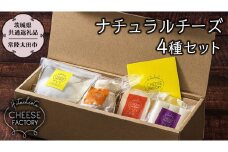 ナチュラルチーズ 【茨城県共通返礼品／常陸太田市】ひたちおおたチーズ工房 チーズ モッツァレラ カチョカヴァッロ ストリング さとやま  [EA001sa]
