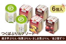つくばぷりん アソート 6個 セット 奥久慈卵 卵黄 濃厚 とろける プリン ぷりん 和栗 焼き芋 さしま茶 [AJ014sa]