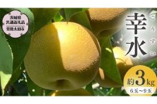 【2025年8月中旬発送開始】 茨城県産 梨 「 幸水 」 約 3kg 6玉 ～ 9玉 【茨城県共通返礼品／常陸太田市】 桧山果樹園 農家直送 フルーツ 甘い 直送 茨城 限定 ギフト 梨 幸水 こうすい 果物 [DU001sa]