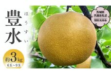 【2025年8月下旬発送開始】 茨城県産 梨 「 豊水 」 約 3kg 6玉 ～ 9玉 【茨城県共通返礼品／常陸太田市】 桧山果樹園 農家直送 桧山果樹園 農家直送 フルーツ  甘い 直送 茨城 限定 ギフト 梨 豊水 ほうすい 果物 [DU003sa]