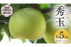 【2025年9月上旬発送開始】 茨城県産 『幻の 梨 』 秀玉 約 5kg 10玉 ～ 16玉 【茨城県共通返礼品／常陸太田市】 桧山果樹園 農家直送 桧山果樹園 農家直送 フルーツ  甘い 直送 茨城 限定 ギフト 梨 秀玉 しゅうぎょく 果物 [DU006sa]