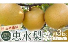 【2025年9月上旬発送開始】 茨城県 オリジナル 幻の 高級梨 『 恵水 』 約 3㎏ 5玉 ～ 7玉 【茨城県共通返礼品／常陸太田市】 桧山果樹園 農家直送 桧山果樹園 農家直送 フルーツ  甘い 直送 茨城 限定 ギフト 梨 恵水 けいすい 果物 [DU007sa]