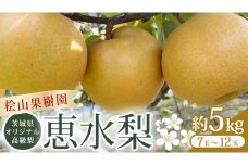 【2025年9月上旬発送開始】 茨城県 オリジナル 幻の 高級梨 『 恵水 』 約 5kg 7玉 ～ 12玉 【茨城県共通返礼品／常陸太田市】 桧山果樹園 農家直送 桧山果樹園 農家直送 フルーツ  甘い 直送 茨城 限定 ギフト 梨 恵水 けいすい 果物 [DU008sa]