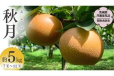 【2025年9月中旬発送開始】 茨城県産 梨 「 秋月 」 約 5kg 7玉 ～ 12玉【茨城県共通返礼品／常陸太田市】 桧山果樹園 農家直送 桧山果樹園 農家直送 フルーツ  甘い 直送 茨城 限定 ギフト 梨 秋月 あきづき 果物 [DU010sa]