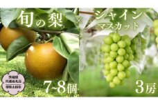 【2025年9月上旬発送開始】 茨城県産 「 シャインマスカット ３房 」 と「旬の 梨 」 詰め合わせ 約 5kg【茨城県共通返礼品／常陸太田市】 桧山果樹園 農家直送 桧山果樹園 農家直送 フルーツ  甘い 直送 茨城 限定 ギフト ぶどう シャインマスカット 旬 梨 秀玉 恵水 秋月 詰め合わせ 食べ比べ 果物 [DU013sa]