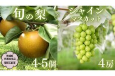 【2025年9月上旬発送開始】 茨城県産 「 シャインマスカット ４房 」と「旬の 梨 」 詰め合わせ 約 5kg 【茨城県共通返礼品／常陸太田市】 桧山果樹園 農家直送 桧山果樹園 農家直送 フルーツ  甘い 直送 茨城 限定 ギフト ぶどう シャインマスカット 旬 梨 秀玉 恵水 秋月 詰め合わせ 食べ比べ 果物 [DU014sa]