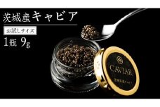 【2025年12月上旬発送開始】 お試し キャビア 9g×1瓶 少量 贅沢 グルメ お正月 クリスマス 高級食材 記念日 誕生日 世界三大珍味 国産キャビア つくばチョウザメ産業 [AI015sa]