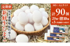 【3ヵ月定期便】雪平養鶏場 桜川育ちの 新鮮 たまご 合計90個 （20個＋10個割れ補償付)×3回  数量限定 卵 定期便 茨城県 桜川市 [SC033sa]
