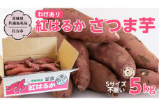 【訳あり】 紅はるか さつま芋 5kg Sサイズ不揃い 【茨城県共通返礼品／行方市】 訳あり 国産 茨城 さつまいも 芋 塚田商店 スーパーツカダ [EE001sa]
