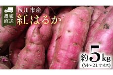 【2025年10月下旬発送開始】桜川産 さつまいも 紅はるか 5kg 茨城県 サツマイモ べにはるか 芋 甘い [SC029sa]