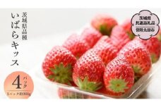 【 2026年 先行予約 】いばらキッス(4パック×1箱)（茨城県共通返礼品／常陸太田市） 茨城県品種 2026年1月上旬発送開始 フルーツ 苺 イチゴ いちご 新鮮 朝採れ 茨城県 桧山FRUITFARM [DY001sa]