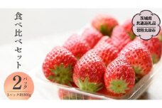 【 2026年 先行予約 】3種 食べ比べセット（2パック×1箱)（茨城県共通返礼品／常陸太田市） 2026年1月上旬発送開始 フルーツ 苺 イチゴ いちご 新鮮 朝採れ 茨城県 桧山FRUITFARM [DY004sa]