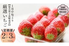 【2026年 先行予約】【定期コース】厳選いちご 2パック×3回【第２水曜発送】（茨城県共通返礼品／常陸太田市） 2026年1月発送開始 フルーツ 苺 イチゴ いちご 新鮮 朝採れ 茨城県 桧山FRUITFARM [DY007sa]