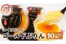 【お歳暮 熨斗付き 】 つくばぷりん ゴールドぷりん 10個入  御歳暮 お歳暮  贈答 贈り物 冬ギフト 奥久慈卵 卵黄 濃厚 とろける プリン ふじ屋  [AJ012sa]	