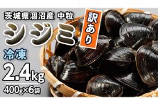 【訳あり】茨城県 涸沼産 中粒 冷凍 シジミ 2.4kg（400g×6袋） ヤマトシジミ しじみ 中粒 冷凍 味噌汁 スープ 魚貝類 貝 オルニチン コハク酸 小分け [EL003sa]