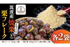 《 1月1日 受付終了 》 筑波産 の 焼栗 Lサイズ ×2 と 栗フレーク2袋  栗 くり 焼栗 おやつ スイーツ 茨城 和栗 果物 フルーツ 秋 茨城県産 [EK002sa]