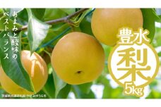 豊水 約5kg（茨城県共通返礼品：かすみがうら市） 【2025年9月上旬発送開始】 梨 数量限定 なし ナシ フルーツ 果物 旬 産地直送 [FF004sa]