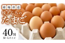 枝さんちのたまご 40個 (M～L40個) 産地直送 たまご 玉子 生卵 鶏卵 タマゴ 平飼い 桜川市産 茨城県産 卵 非遺伝子組換え [BT007sa]