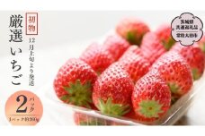 【 先行予約 】初物 厳選 いちご ( 2パック × 1箱 )  （茨城県共通返礼品／常陸太田市） 2025年12月上旬発送開始 フルーツ 苺 イチゴ いちご 新鮮 朝採れ 茨城県 桧山FRUITFARM [DY016sa]