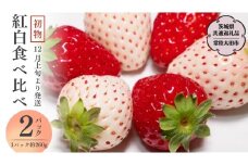 【 先行予約 】初物 紅白 食べ比べ いちご （ 2パック × 1箱 )  （茨城県共通返礼品／常陸太田市） 2025年12月上旬発送開始 フルーツ 苺 イチゴ いちご 新鮮 朝採れ 茨城県 桧山FRUITFARM [DY017sa]