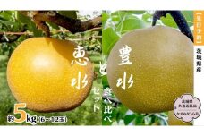 【先行予約】梨 豊水と恵水の食べ比べセット 約5kg (茨城県共通返礼品 かすみがうら市)  （2025年9月中旬発送開始）産地直送 久保田果樹園 フルーツ 甘い 直送 茨城 限定 ギフト 梨 豊水 ほうすい 恵水 けいすい 食べ比べ 果物 [DH016sa]