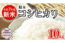 【令和7年産 新米】 精米 茨城県産 コシヒカリ 10kg   (茨城県共通返礼品 かすみがうら市) 紙米袋 茨城 新米 精米 コシヒカリ お米 ごはん 直送 銘柄米 [DH020sa]