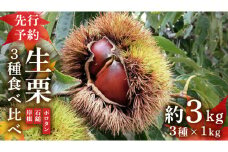 【先行予約】 生栗 3種 食べ比べ 約3kg （2024年10月中旬発送開始） 茨城県産 産地直送 久保田果樹園 茨城 栗 くり ポロタン 石鎚 岸根 いしづち がんね 秋 旬 直送 [DH019sa]