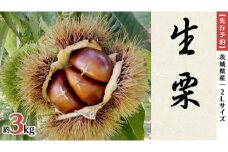 【先行予約】 茨城県産 生栗 2Lサイズ 約3kg（ 2025年10月上旬発送開始 ） 産地直送 久保田果樹園 茨城 栗 くり 季節 秋 旬 直送 [DH021sa]