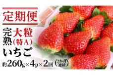 【2ヵ月 定期便】 完熟 いちご 定期便！ 4パック × 2回	合計 8パック （1P約260g） 定期便 国産 いちご イチゴ 苺 果物 かおり野 とちおとめ やよいひめ フルーツ 茨城県産 KEK [BC074sa]