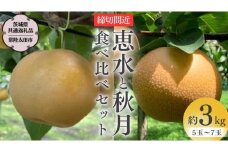 【 2025年 先行予約 】 厳選 2種！恵水 と 秋月 の 食べ比べセット 約3kg 5玉～7玉 【 茨城県共通返礼品 ／ 常陸太田市 】 2025年9月中旬発送 桧山果樹園 フルーツ 甘い 直送 茨城 限定 ギフト 梨 恵水 秋月 旬 贈答 果物 [DU019sa]