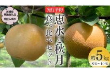 【 2025年 先行予約 】 厳選 2種！恵水 と 秋月 の 食べ比べセット 約5kg 8玉～10玉 【 茨城県共通返礼品 ／ 常陸太田市 】 2025年9月中旬発送 桧山果樹園 フルーツ 甘い 直送 茨城 限定 ギフト 梨 恵水 秋月 旬 贈答 果物 [DU020sa]