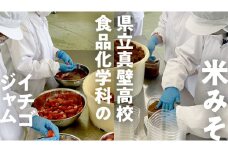 【 真壁高校 食品化学科が製造 】 米みそ (900g×2袋) & イチゴジャム (200g×2個)  地元産 桜川市 米 味噌 大豆 麹 果肉 苺 いちご イチゴ ジャム プレザーブ セット 高校生 応援 [DM001sa]
