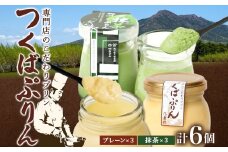 つくばぷりん プレーン ＆ 抹茶ぷりん 各3個 計6個 冷凍 プリン ぷりん 抹茶 まっちゃ 茶 お茶 スイーツ 洋菓子 おやつ 冷菓 贅沢 ご褒美 デザート 和スイーツ 人気 グルメ お取り寄せ ギフト プレゼント 贈り物 つくば 送料無料 ふじ屋 茨城県 桜川市 [EW004sa]
