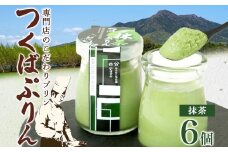つくばぷりん 抹茶ぷりん 6個 冷凍 プリン ぷりん 抹茶 まっちゃ 茶 お茶 スイーツ 贅沢 洋菓子 おやつ 冷菓 ご褒美 デザート 専門店 和スイーツ 人気 グルメ お取り寄せ ギフト プレゼント 贈り物 贈答品 化粧箱 つくば 冷凍 送料無料 ふじ屋 茨城県 桜川市 [EW003sa]