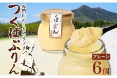 つくばぷりん プレーン 6個 冷凍 プリン ぷりん 牛乳 生乳 ミルク 卵 奥久慈卵 スイーツ 贅沢 洋菓子 おやつ 冷菓 ご褒美 デザート 専門店 人気 グルメ お取り寄せ ギフト プレゼント 贈り物 贈答品 化粧箱 筑波山麓 つくば 送料無料 ふじ屋 茨城県 桜川市 [EW001sa]