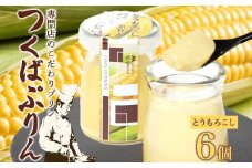 つくばぷりん とうもろこしぷりん 6個 プリン ぷりん とうもろこし トウモロコシ 牛乳 ミルク 卵不使用 スイーツ 贅沢 洋菓子 おやつ 冷菓 ご褒美 デザート 人気 グルメ お取り寄せ ギフト プレゼント 贈り物 贈答品 冷蔵 送料無料 ふじ屋 茨城県 桜川市 [EW008sa]