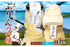 つくばぷりん プレーン ＆ 三時茶ぷりん 塩 各3個 計6個 冷凍 プリン ぷりん しお スイーツ 洋菓子 おやつ 冷菓 ご褒美 デザート 専門店 和スイーツ 人気 グルメ お取り寄せ ギフト プレゼント 贈り物 つくば 石垣島 三時茶 送料無料 ふじ屋 茨城県 桜川市 [EW006sa]