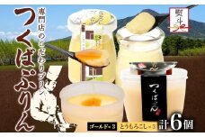 無地熨斗 ゴールドぷりん ＆ とうもろこしぷりん 各3個 計6個 つくばぷりん とうもろこしプリン プリン ぷりん とうもろこし トウモロコシ 牛乳 ミルク 卵 スイーツ 贅沢 洋菓子 おやつ 冷菓 ご褒美 デザート 人気 グルメ お取り寄せ ギフト プレゼント 送料無料 ふじ屋 茨城県 桜川市 [EW036sa]