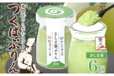 無地熨斗 つくばぷりん さしま茶ぷりん ６個 プリン ぷりん さしま茶 茶 抹茶 牛乳 ミルク 卵不使用 スイーツ 贅沢 洋菓子 おやつ 冷菓 和スイーツ ご褒美 デザート 人気 グルメ お取り寄せ ギフト プレゼント 贈り物 贈答品 冷蔵 送料無料 ふじ屋 茨城県 桜川市 [EW035sa]