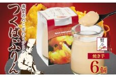 無地熨斗 つくばぷりん 焼き芋ぷりん 6個 プリン ぷりん 焼きいも 焼きイモ やきいも 牛乳 ミルク 卵 とろける スイーツ 贅沢 洋菓子 おやつ 冷菓 ご褒美 デザート 人気 グルメ お取り寄せ ギフト プレゼント 贈り物 贈答品 冷蔵 送料無料 ふじ屋 茨城県 桜川市 [EW032sa]