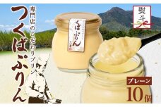 無地熨斗 つくばぷりん プレーン 10個 冷凍 プリン ぷりん 牛乳 生乳 ミルク 卵 奥久慈卵 スイーツ 贅沢 洋菓子 おやつ 冷菓 ご褒美 デザート 専門店 人気 グルメ お取り寄せ ギフト プレゼント 贈り物 贈答品 化粧箱 筑波山 つくば 送料無料 ふじ屋 茨城県 桜川市 [EW024sa]