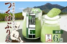 無地熨斗 つくばぷりん 抹茶ぷりん 6個 冷凍 プリン ぷりん 抹茶 まっちゃ 茶 お茶 スイーツ 贅沢 洋菓子 おやつ 冷菓 ご褒美 デザート 専門店 和スイーツ 人気 グルメ お取り寄せ ギフト プレゼント 贈り物 贈答品 化粧箱 つくば 冷凍 送料無料 ふじ屋 茨城県 桜川市 [EW025sa]