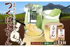 無地熨斗 つくばぷりん プレーン ＆ 抹茶ぷりん 各3個 計6個 冷凍 プリン ぷりん 抹茶 まっちゃ 茶 お茶 スイーツ 洋菓子 おやつ 冷菓 贅沢 ご褒美 デザート 和スイーツ 人気 グルメ お取り寄せ ギフト プレゼント 贈り物 つくば 送料無料 ふじ屋 茨城県 桜川市 [EW026sa]