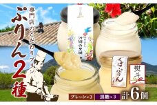 無地熨斗 つくばぷりん プレーン ＆ 三時茶ぷりん 黒糖 各3個 計6個 冷凍 プリン ぷりん スイーツ 洋菓子 おやつ 冷菓 贅沢 ご褒美 デザート 専門店 和スイーツ 人気 グルメ お取り寄せ ギフト プレゼント 贈り物 つくば 沖縄 三時茶 送料無料 ふじ屋 茨城県 桜川市 [EW027sa]