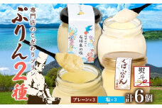 無地熨斗 つくばぷりん プレーン ＆ 三時茶ぷりん 塩 各3個 計6個 冷凍 プリン ぷりん しお スイーツ 洋菓子 おやつ 冷菓 ご褒美 デザート 専門店 和スイーツ 人気 グルメ お取り寄せ ギフト プレゼント 贈り物 つくば 石垣島 三時茶 送料無料 ふじ屋 茨城県 桜川市 [EW028sa]
