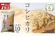 【 令和6年産 】 コシヒカリ 玄米 10kg ( 10kg × 1袋 ) (茨城県共通返礼品 かすみがうら市) 米 ごはん もっちり 甘い コメ お米 玄米 銘柄米 [EX004sa]